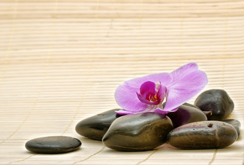 Obraz na płótnie Canvas Różowa orchidea i zen kamienie