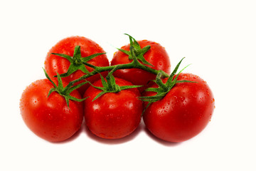 Tomatos