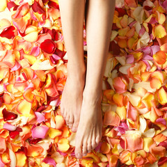 Sexy feet of a young female on beautiful bright rose petals