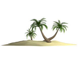 3d render of island with palm-trees on white