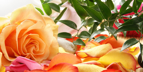 A close-up image of an orange flower, a stone and green leaves