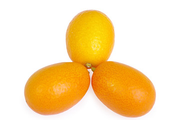 Group kumquat isolated on the white background
