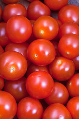 many cherry tomatoes
