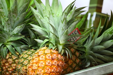 Fresh frits on Salamanca Market , Tasmania, Australia.