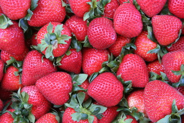 Red strawberries
