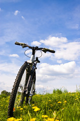 Obraz premium bike