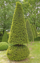 Gartengestaltung