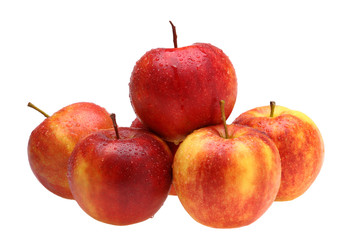 Frische Äpfel