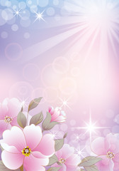 Obraz na płótnie Canvas flowers over violet background