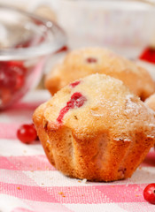 Cranberry muffins