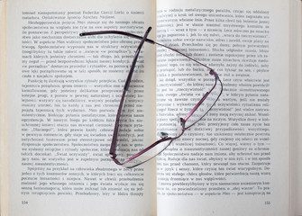 Okulary na książce