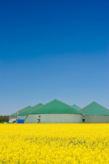 Biogasanlage hinter einem Rapsfeld 2