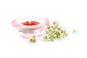 Zapach  064 © weglowskirobert