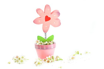 Kwiat  066 © weglowskirobert