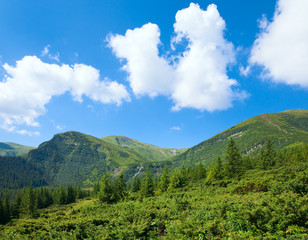 Obraz premium Summer mountain view