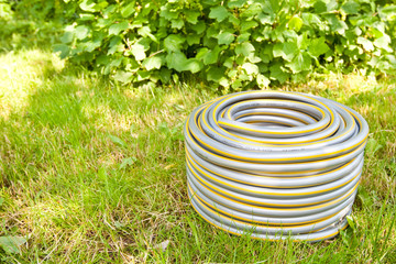 Grey plastic water hose on green grass