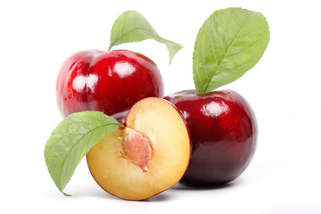 Insieme di Prugne con frutto tagliato