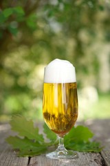 Pils