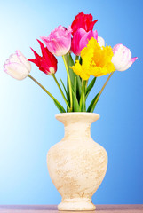 Tulips in vase on blue background