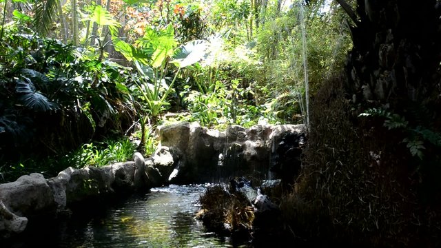 Wasserfall im Dschungel