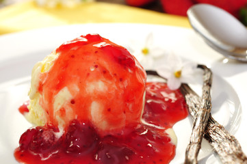 Vanilleeis mit Erdbeersauce