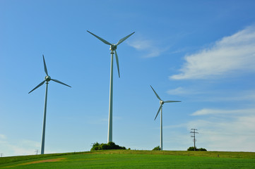 Fototapeta premium Windräder