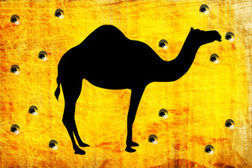 hole from shoot on the wall with camel