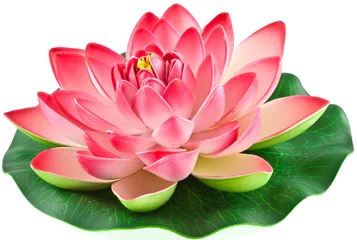 Foto op Plexiglas Lotusbloem kunstmatige roze waterleliebloem