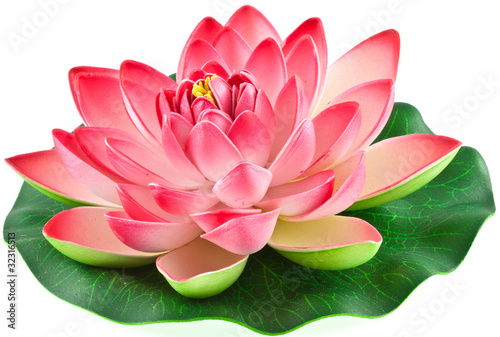 Fleur Artificielle Nénuphar Rose Photo Libre De Droits Sur