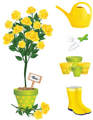 Garden Items and yellow rose, vector