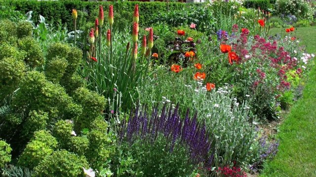 Jardin fleuri dans le vent
