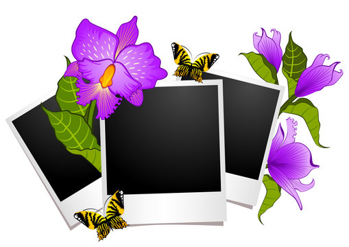 photo frames with flowers