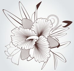 Flowers on the white background.