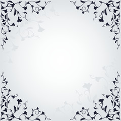 Flowers on the white background