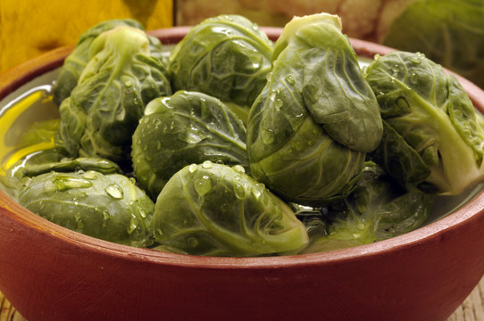Cavolini di bruxelles