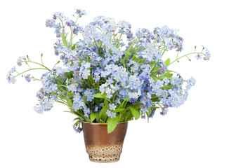 Bouquet from Forget-me-nots (Myosotis)