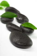 Fototapeta na wymiar black stones and green leaves