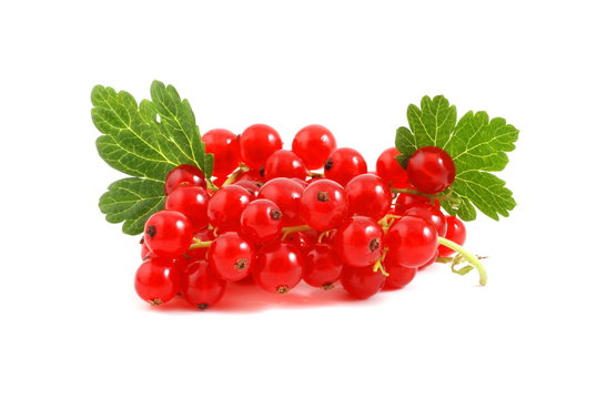 Rote Johannisbeeren