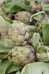 Obraz premium Artischocken