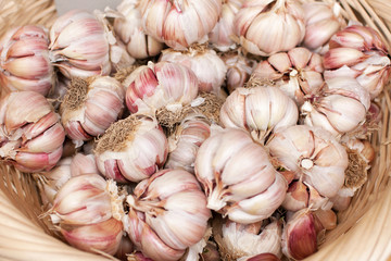 farmers market series - garlic (shallow DOF)
