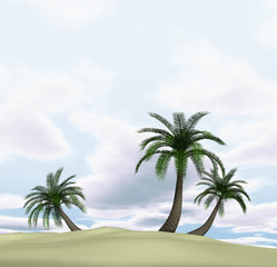 3d render of island with palm-trees and cloudy blue sky