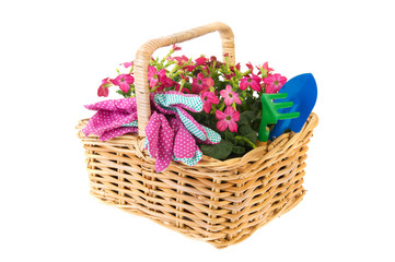 Fototapeta na wymiar Basket flowers for gardening