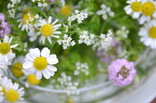 herbal flowers