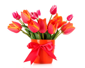 Pink tulips on white background