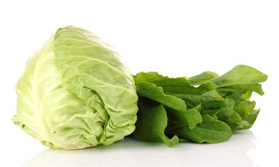 Fresh leaves of a sorrel and cabbage  on a white background