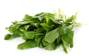 Fresh leaves of a sorrel on a white background