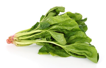 Bunch of spinach isolated on white background