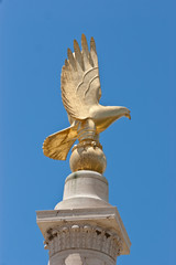 Falcon of Malta