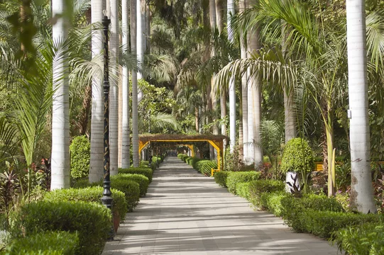 Les Jardins Botaniques d'Assouan - Adobe Stock