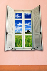 Green rice farm behind white window on the wall